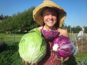 Justine with a great cabbage harvest!